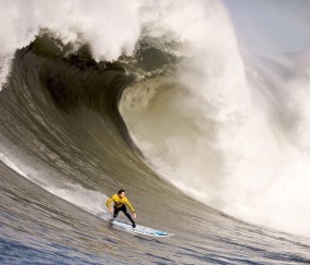 葡国铁闸闪耀英超！帕里尼亚31次抢断冠绝欧陆，防守艺术铸就富勒姆脊梁